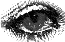 eye