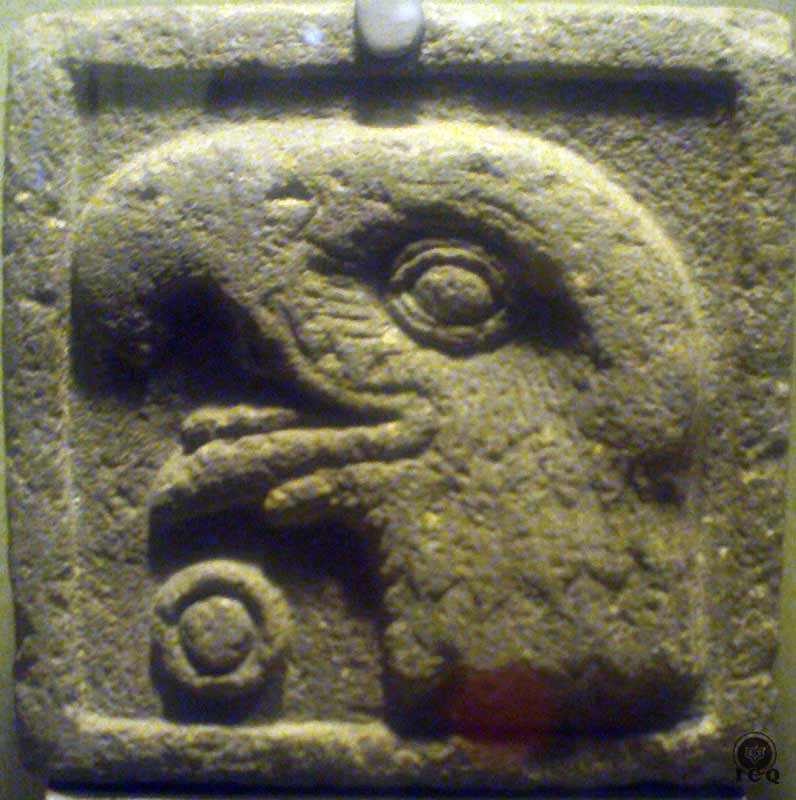 Numeral Uno águila (Museo de Antropología e Historia México)
