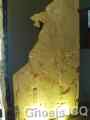 palenque 65