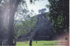 palenque_11
