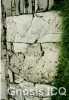 palenque_54