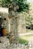 palenque_59