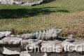 tulum_18
