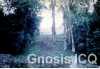 yaxchilan_19