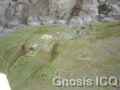 plazuelas_26