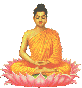 Meditating Budha